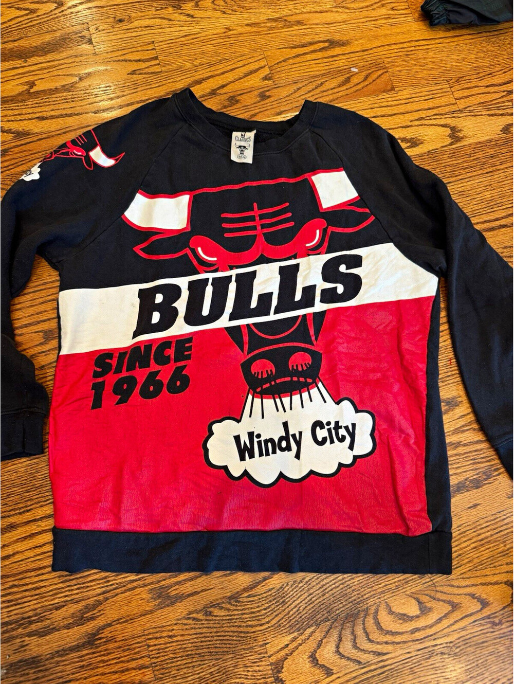VINTAGE 90s Hardwood Classics NBA Chicago Bulls Windy City Sweatshirt